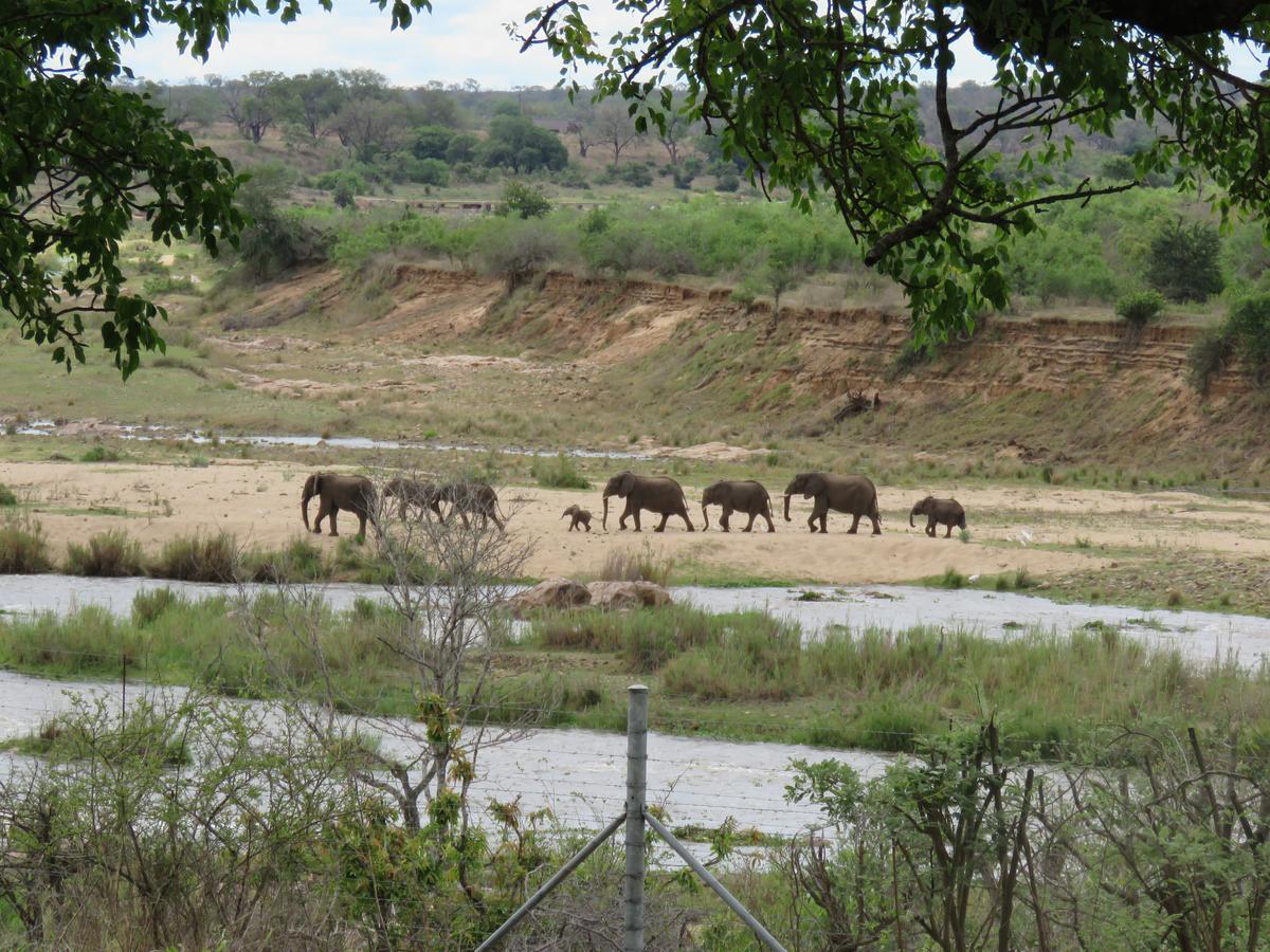 Kruger View Tree House Βίλα Marloth Park Εξωτερικό φωτογραφία