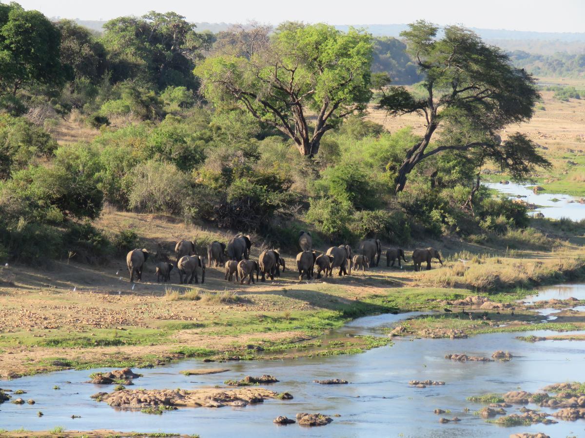Kruger View Tree House Βίλα Marloth Park Εξωτερικό φωτογραφία