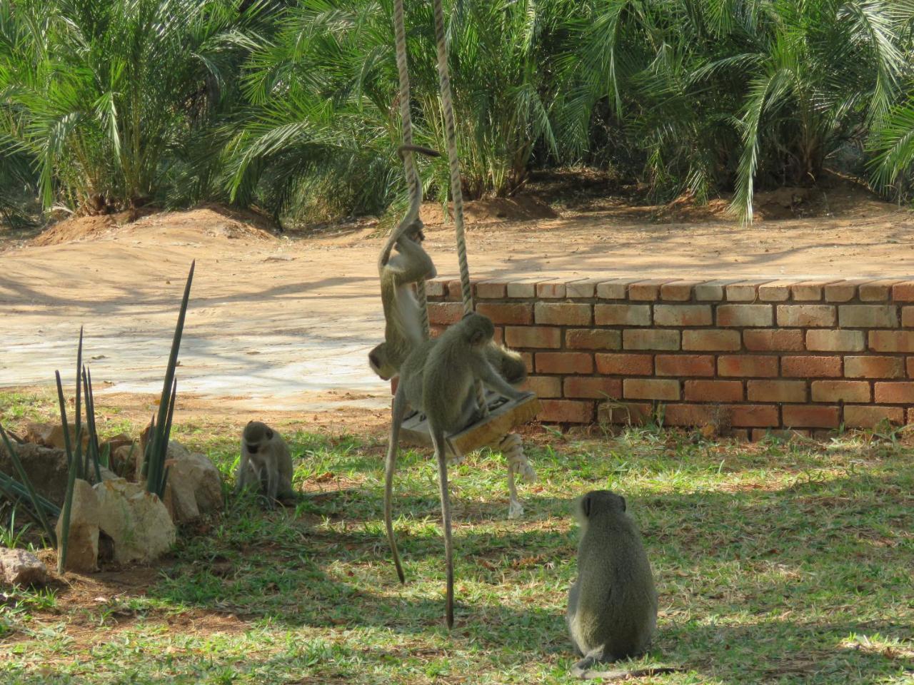 Kruger View Tree House Βίλα Marloth Park Εξωτερικό φωτογραφία